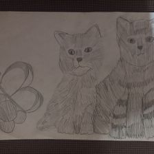 настя дмитриевна иванова