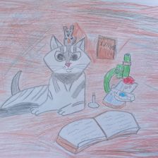 Мирослава Коваленко в конкурсе «Замурчательные рисунки»