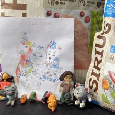 Настя  и Кристина Николаевны Камянские