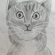 Мария Дмитриевна Мешкова в конкурсе «Замурчательные рисунки»