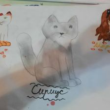 Мирослава Дмитреевна Беседина в конкурсе «Замурчательные рисунки»