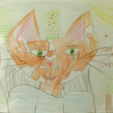 Софья Андреевна Крашенинникова