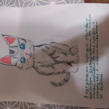 Валерия Вадимовна Бердинских в конкурсе «Замурчательные рисунки»