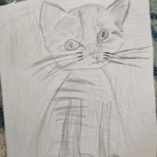 Диниил Евгеньевич Каретников