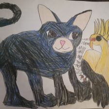 Кирилл Тамэр магди Тауфик