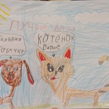 Вероника Александровна Капранова в конкурсе «Замурчательные рисунки»