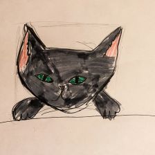 Виктория Игоревна Токаренко в конкурсе «Замурчательные рисунки»