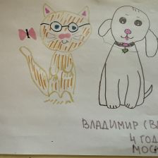 Владимир Петрович в конкурсе «Замурчательные рисунки»