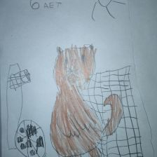 Алиса Комарова