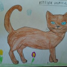 Тимур Евгеньевич Тен