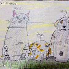 Максим Александрович Садовничий