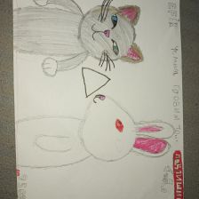 Елена Александровна Цыбина