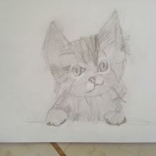 Рита Гадомская в конкурсе «Замурчательные рисунки»