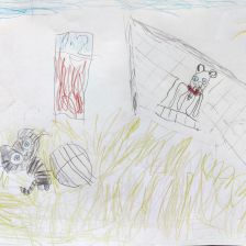 Нестор Анатольевич Анисимов