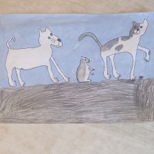 Софья Андреевна Котина в конкурсе «Замурчательные рисунки»