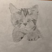 Катя Павловна Сурма в конкурсе «Замурчательные рисунки»