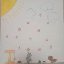 Дарья Александровна Сова в конкурсе «Замурчательные рисунки»