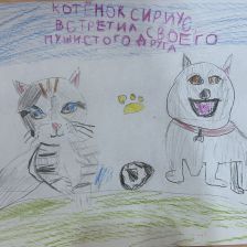 Виктория Васильевна Неверова в конкурсе «Замурчательные рисунки»