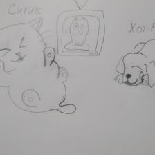 Дени Доккуевич Голтаков