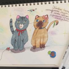 Элис Гесс в конкурсе «Замурчательные рисунки»