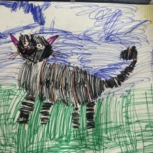 Роман Алексеевич Белоусов в конкурсе «Замурчательные рисунки»