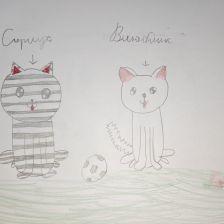 Саша Носарева