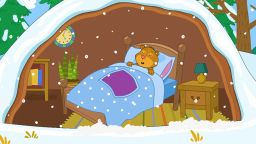 Всё, что вы хотели знать! Выпуск 13