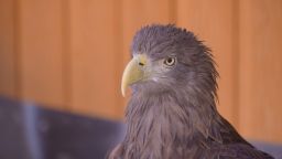 Навигатор. Новости. Выпуск 1270