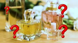 Всё, что вы хотели знать! Выпуск 26