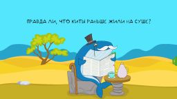 Всё, что вы хотели знать! Выпуск 28