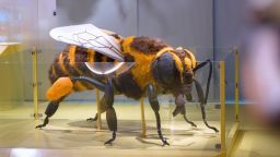 Навигатор. Новости. Выпуск 1356