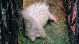 Навигатор. Новости. Выпуск 1358