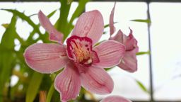 Навигатор. Новости. Выпуск 1359