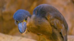 Навигатор. Новости. Выпуск 1361