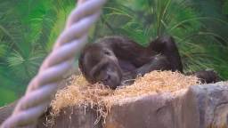 Навигатор. Новости. Выпуск 1369