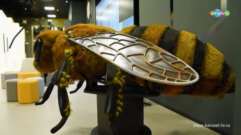 Навигатор. Новости. Выпуск 9