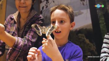 Навигатор. Новости. Выпуск 10