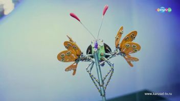 Навигатор. Новости. Выпуск 16