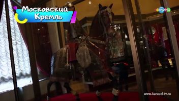 Навигатор. Новости. Выпуск 62