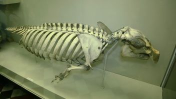 Навигатор. Новости. Выпуск 63