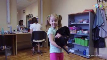 Блог Таисии Скомороховой