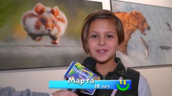 Навигатор. Новости. Выпуск 142