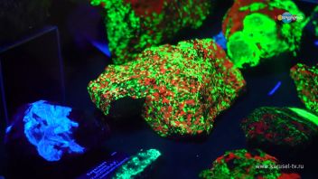 Навигатор Новости. Выпуск 145