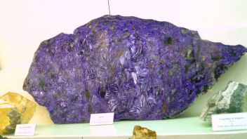 Навигатор. Новости. Выпуск 158