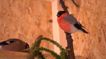 Навигатор. Новости. Выпуск 162