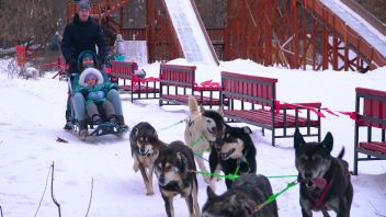 Навигатор. Новости. Выпуск 168