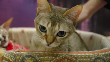 Навигатор. Новости. Выпуск 172