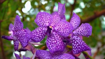 Навигатор. Новости. Выпуск 180