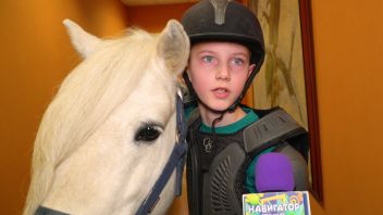 Навигатор. Новости. Выпуск 183