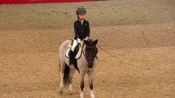 Навигатор. Новости. Выпуск 185